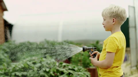 Boy watering plants Stock Footage 66542201