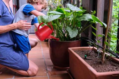 Boy watering plants while his mother watches him Stock Photos