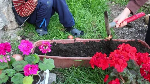 Boy weeding the soil Stockbeeldmateriaal 48929725