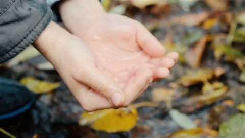 The boy went to the water, drops dripping into his hands, autumn foliage full HD Stock Footage 81631321