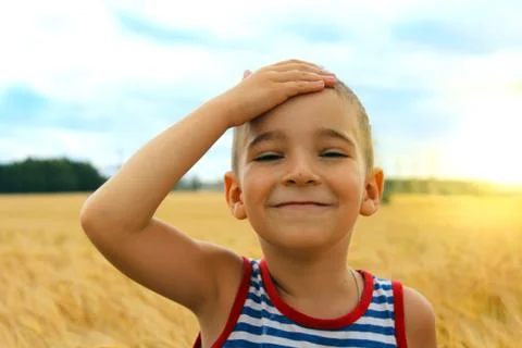 Boy in a wheat field Stock Photos