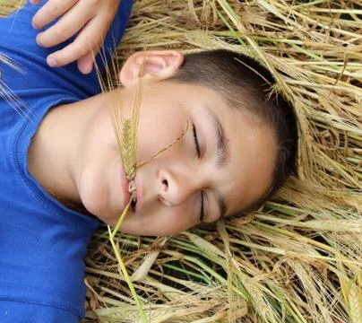 Boy in a wheat field Stock Photos