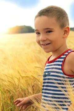 Boy in a wheat field Stock Photos
