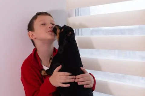 Boy on the window with a dog Stock Photos