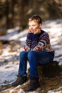 Boy in the winter forest Stock Photos