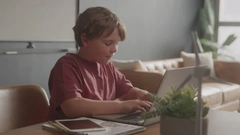 Boy Working On Computer At School Stock Footage 208804585