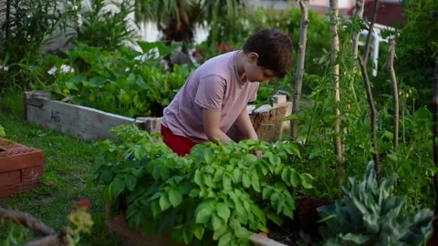 Boy working in a garden Stock Footage 132829112