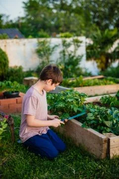 Boy working in a garden Stock Photos