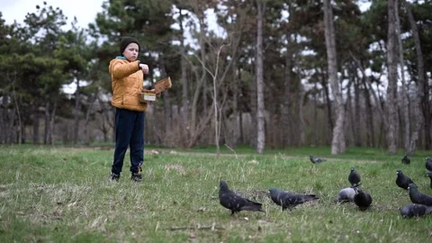 A boy in a yellow jacket feeds pigeons Stock Footage 175996889