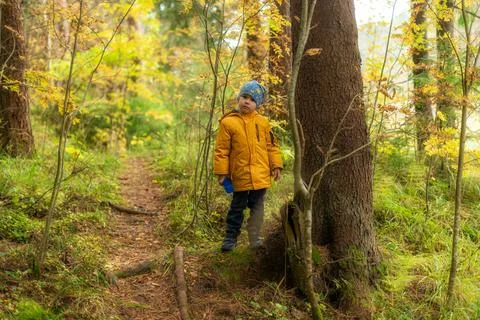 A boy in a yellow jacket walks through the woods Stock Photos