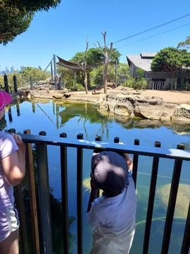 A boy at the zoo Stock Photos