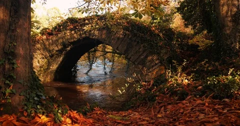 Boyne valley Video stock 120465914