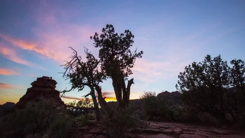Boynton Canon with Tree Sunset Timelapse Stock Footage 71198218