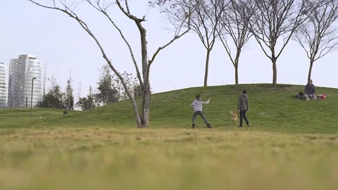 Boys 05 Video stock 170784793