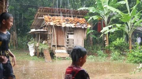 Boys are having fun playing in the rain in the yard. Stock Footage 308962985