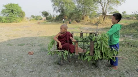 Boys on cart with leaves Stock Footage 48733973
