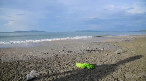 Boys collecting garbage from the beach Stock Footage 56958435