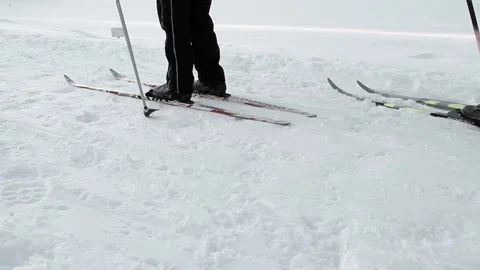 Boys go skiing Stock Footage 237478969