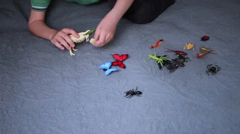 Boy's hands playing in bed with insect toys, child having fun, game Vídeos de archivo 37388661