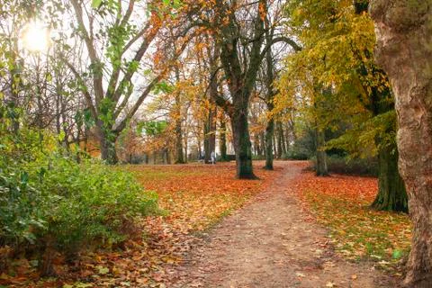 Boys jogging in fall park Stock Photos