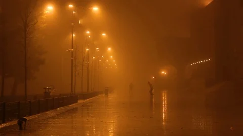 Boys playing and cat walking in mist on the garden of the mosque Stock Footage 102440229
