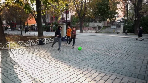 Boys playing with a ball Stock Footage 219304486