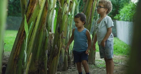 Boys playing between trees 库存影片 105428269