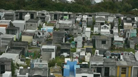 Boys playing in a cemetery Stock Footage 12453115