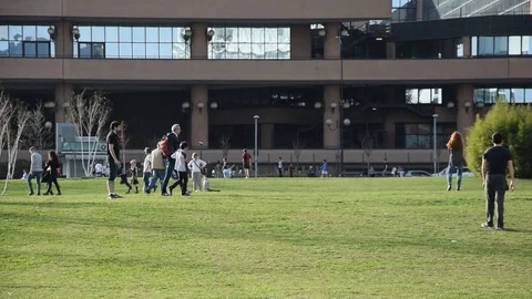 Boys playing frisbee Stock Footage 73674310