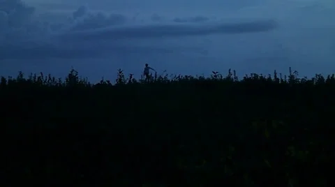 Boys playing to the last bit of light. Stock Footage 32327395