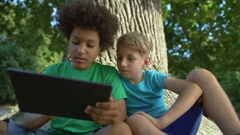 Boys playing tablet sitting under big tree in park, friends spending free time Stock-Footage 117203916