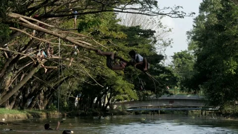 Boys playing with tree branch above the river canal Stock Footage 132451610