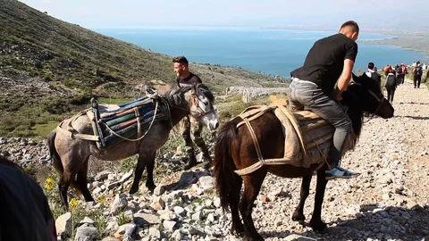 Boys preparing for riding a horse Stock Footage 79791948
