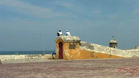 Boys seaside wall Stock Footage 628701