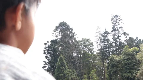 Boys see the big trees Stock Footage 119190894