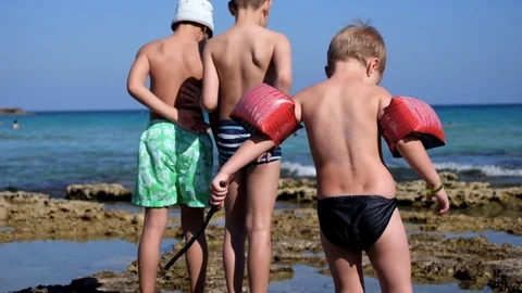 Boys on the shore, looking for seashells Stock Footage 90255344