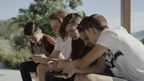 Boys sitting and using cell phones in park / Lehi, Utah, United States Stock Footage 117353155