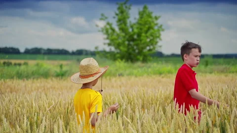 Boys in wheat field Stock Footage 135602773