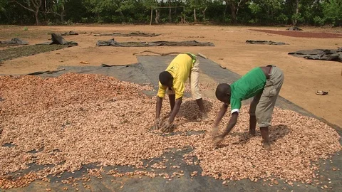 Boys Working Video stock 74361776