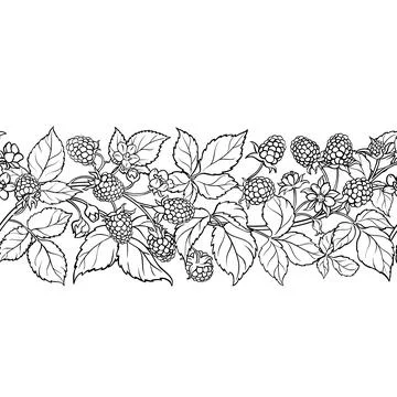 Boysenberry Outline Horizontal Seamless Pattern. Illustrazione stock