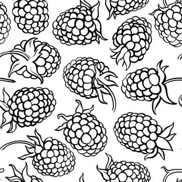 Boysenberry vector pattern Stock Illustration