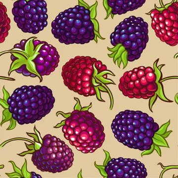 Boysenberry vector pattern Illustrazione stock