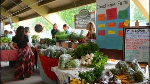 Bozeman Montana fair with selling Organic food selling food Stock Footage