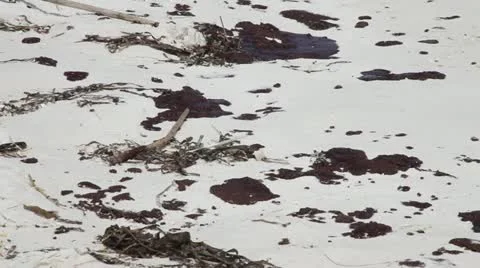 BP Oil Spill Video stock 12593116
