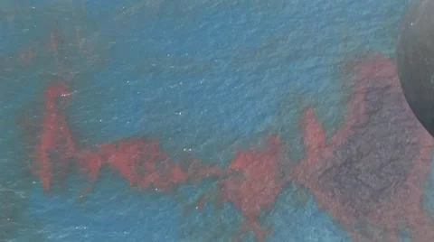 BP Oil Spill Pollution 库存影片 14831343