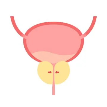 BPH info concept Stock Illustration