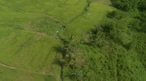 BPH04544-2-AERIAL Stock Footage 558610