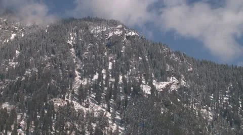 BPH14320 01 Video stock 10787527