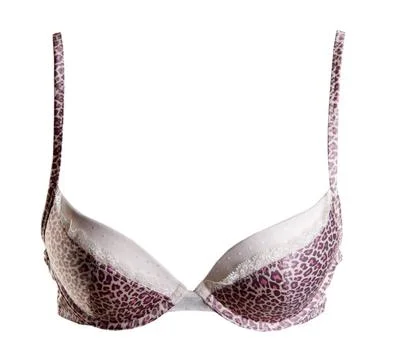 Bra with leopard pattern Bra with leopard pattern on a white background Co... Stock Photos