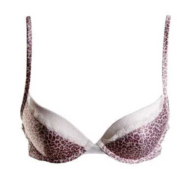 Bra with leopard pattern 스톡 사진